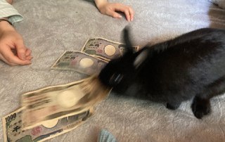[photo](media:AgACAgUAAx0CPyvoigABAzg0XxWaUGME9Mhodt4o4hADh8wHJxYAAnypMRuWQKhUdMKMOJfdnjpLbxprdAADAQADAgADbQADMCAEAAEaBA@telegram)