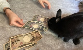 [photo](media:AgACAgUAAx0CPyvoigABAzg1XxWaUg0URKLNFAOtGg4R-c5BGoUAAn2pMRuWQKhUhRbtHTXo1ruuAR9rdAADAQADAgADbQADCBgEAAEaBA@telegram)