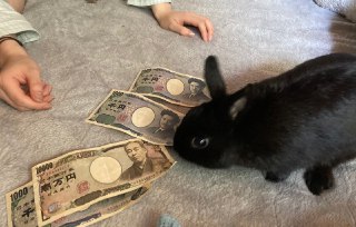[photo](media:AgACAgUAAx0CPyvoigABAzgzXxWaT6y5dQguDmWumaGBNoK9OYoAAnupMRuWQKhU6V1FP7suHrBXQGhrdAADAQADAgADbQADke4DAAEaBA@telegram)