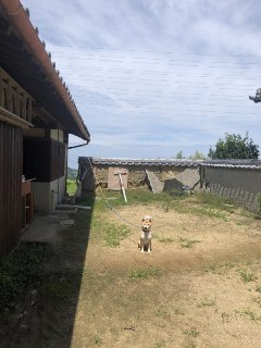 [photo](media:AgACAgUAAx0CPyvoigABAzrKXyJQwpTGCKUPPMLQg8zsJLn6QYoAAtypMRsQbhFVGD1zrtQJ2PwseetrdAADAQADAgADbQADXBEBAAEaBA@telegram)