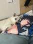 [photo](media:AgACAgUAAx0CPyvoigABBQ0mZki5hw2ZpDPNLLm5qd12wHSPnusAAu--MRvRhEhWWAqXqavuumIBAAMCAANzAAM1BA@telegram)