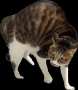 [photo](media:AgACAgUAAx0CQ69l-wABAc9ealXvlTARjs4Z-OUghgtl0-ZQwuwAAv0RaxuJCbFWzH4k_DgThcwBAAMCAANzAAM9BA@telegram)
