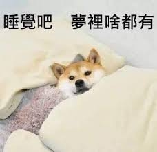 [photo](media:AgACAgUAAx0CQEMBJgABC-odXx8G8e5Nn4HwDoYzg2GuaBRZHG0AAi6qMRunwPlUoLdHz5_ZGRv5375qdAADAQADAgADbQADefkFAAEaBA@telegram)