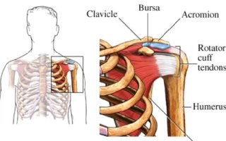 [photo](media:AgACAgUAAx0CQEMBJgABC5-EXuZPDK_zjrDW554M5TF549XENjkAAsqrMRtd_zBXOuSl6wM03OKd8xtrdAADAQADAgADbQADRAUCAAEaBA@telegram)