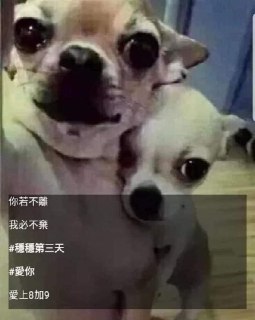 [photo](media:AgACAgUAAx0CQEMBJgABC57MXuW8B7i-1i2a3MHFce2gBTSW_DoAAlOrMRtd_zBXCwYyK7_olM2X7sFqdAADAQADAgADbQADk3gDAAEaBA@telegram)