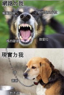 [photo](media:AgACAgUAAx0CQEMBJgABC5s4XuMZsHpgsAZ_xIqAWrbIIZhkGPIAAp6qMRsEIBlXYNMy-m7EFa0vAAFuanQAAwEAAwIAA20AA19uBQABGgQ@telegram)