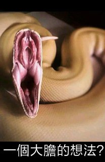 [photo](media:AgACAgUAAx0CQEMBJgABC6YMXusYO6F_P5up0IOk1ZoVVdkueqoAAhmqMRuww1lXweVzyepHk9yzrGNrdAADAQADAgADbQAD4gICAAEaBA@telegram)