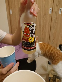 [photo](media:AgACAgUAAx0CQEMBJgABC7F0XvYrYfWX3BzqIxR4OWniqJLpbJkAAjmrMRs3tbBXEUhsKF0SHV3dAAFuanQAAwEAAwIAA20AA_s5BgABGgQ@telegram)