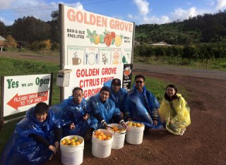 [photo](media:AgACAgUAAx0CQEMBJgABC_2xXy0xiquGTTikAWEiTAyO_4ALySEAAuSpMRvEKWlV6ZQd-wFhJH7fAAHta3QAAwEAAwIAA20AA7eQAQABGgQ@telegram)