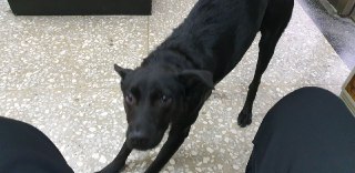 [photo](media:AgACAgUAAx0CQEMBJgABC_TRXyUaPTafuhxSsV4f8IJWroYqvYYAAh6qMRuYGShVgCZiEHNLDvF2QGhrdAADAQADAgADbQADxY4EAAEaBA@telegram)