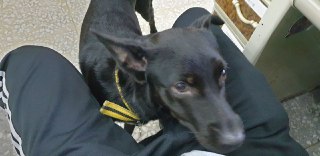 [photo](media:AgACAgUAAx0CQEMBJgABC_TSXyUaPs3X3iiknm1ZCWtJRxCjsSoAAh-qMRuYGShVaMQgUNoge9Ubx_1rdAADAQADAgADbQAD7ZgAAhoE@telegram)