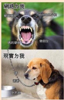 [photo](media:AgACAgUAAx0CQEMBJgABDAgpXzydp7UWhHLn_E4vc8DBslY10kAAAi-rMRsuY-hVZ5yktExbnJo29RtrdAADAQADAgADbQAD5bYFAAEbBA@telegram)