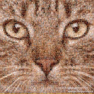 [photo](media:AgACAgUAAx0CQEMBJgABDHCaX75C0lsY7SuqMq1SMbK0IHRDxPAAAvyqMRvqrfFVAAEPc5hcszztH8nLbHQAAwEAAwIAA20AA7t3BAABHgQ@telegram)