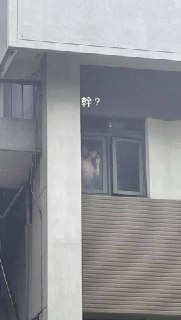 [photo](media:AgACAgUAAx0CQEMBJgABDI86YJJc_ViVOay2NXupkb1J9jka9TMAApSsMRtnrphU_4l9_eaFmRVH9L5zdAADAQADAgADbQADBGABAAEfBA@telegram)