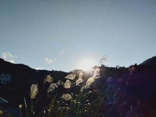 [photo](media:AgACAgUAAx0CQEMBJgABDIH3YBZpMl6-hDntgbM4qMSsYm_SmbUAAqmqMRupyLFUKEy4F8bpS7_QjzxxdAADAQADAgADbQADzwgAAh4E@telegram)