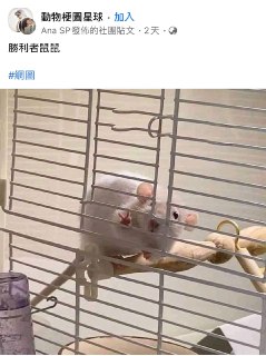 [photo](media:AgACAgUAAx0CQEMBJgABDIaKYGLTijXNFZXhEvcWco-x04ey88YAAj-rMRvNVRhXifYorv4cjnanp05sdAADAQADAgADbQADvssHAAEeBA@telegram)