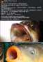 [photo](media:AgACAgUAAx0CTqsYFgACbX5ijwJlxYtICqXMFxcHzFHgpJuwmAACd7ExG5iseFTxV__RQmCO2AEAAwIAA3MAAyQE@telegram)