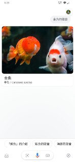 [photo](media:AgADAQADNKgxG1DmAAFEsS2WQP0Bo2iYFxQwAAQBAAMCAANtAANAPwUAARYE@telegram)