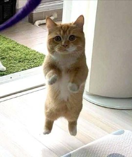 [photo](media:AgADAQADUKgxG0z0cET9qBV2GbJGOgofFDAABAEAAwIAA20AA6tZBQABFgQ@telegram)