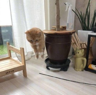 [photo](media:AgADAQADUagxG0z0cERlekDpZaHabi26bgYABAEAAwIAA20AAwfnAAIWBA@telegram)