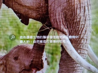 [photo](media:AgADAQADXagxGxFsYEdCn0En5CkESJexbgYABAEAAwIAA20AA86hAAIWBA@telegram)