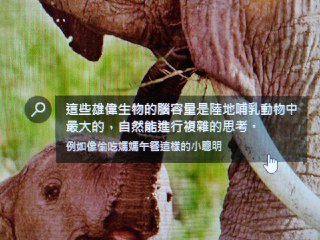 [photo](media:AgADAQADXqgxGxFsYEetqnYH0fQ3oTbZawYABAEAAwIAA20AA2-yAQABFgQ@telegram)
