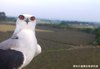 [photo](media:AgADAQADbqgxG6lJmUT9heKbpdEbPZ--CjAABAEAAwIAA20AA7epBQABFgQ@telegram)
