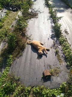 [photo](media:AgADAQADeagxG-af8UQwelYO3yp5O7vbawYABAEAAwIAA20AA1ciAgABFgQ@telegram)