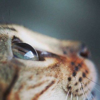 [photo](media:AgADAQADzagxGyBfwUeogJ5DHQEoIpb2awYABAEAAwIAA20AA3PJAQABFgQ@telegram)