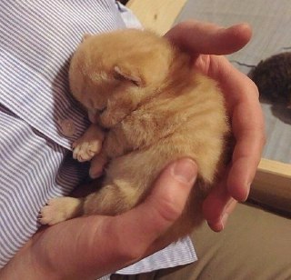 [photo](media:AgADAQADzqgxGyBfwUfLK1X2o1blSAABMxQwAAQBAAMCAANtAAOBywQAARYE@telegram)