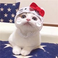 [photo](media:AgADBAADOLIxG5SjoVDJrtg6mmwutudLqBsABAEAAwIAA20AAxrIAgABFgQ@telegram)