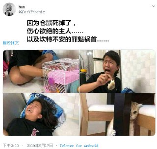 [photo](media:AgADBAADyKkxG3ivNFCOsHSMImoOiJMYsRoABAEAAwIAA20AA7pkBQABFgQ@telegram)