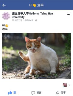 [photo](media:AgADBQAD-agxG0DMaVU6QQLOaXsIo8ty-TIABAEAAwIAA20AAzeSBQABFgQ@telegram)