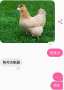 [photo](media:AgADBQAD0KcxGwLhmVfGloYT1KkAASZmGswyAATPerZx88p2VQevAAIC@telegram)