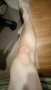 [photo](media:AgADBQAD0KcxGz0LeFa2M85z9b3uRbk_yjIABIUD5ZYjSKEkUgMEAAEC@telegram)