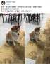 [photo](media:AgADBQAD0KgxG3dZ-VYhI2OReg61bgxN9jIABGMXuATJq3sfW4wDAAEC@telegram)