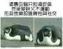 [photo](media:AgADBQAD0acxGys6UFQK8R_m3R_Pb0kpzDIABOsYbVeewC_OH1EBAAEC@telegram)