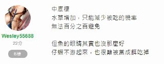 [photo](media:AgADBQAD0agxG2SdkFamnQPf5YpA1Sqv-TIABAEAAwIAA20AA154AQABFgQ@telegram)