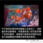 [photo](media:AgADBQAD1qcxG2cjSFbRx-WODJbLoW8-yjIABENxt7kL3BZc0ZABAAEC@telegram)