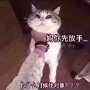 [photo](media:AgADBQAD2KcxG4ihaVZ0eP7mQ9Pcxa83yjIABNjPkNq9XdN7p_8DAAEC@telegram)