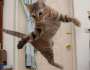 [photo](media:AgADBQAD4KcxGyFO4VSNFlueHXfbJzEQzDIABPQ_8yeuTAbdUkYEAAEC@telegram)