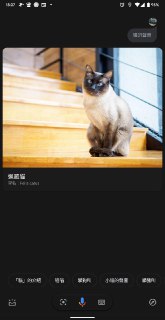 [photo](media:AgADBQAD6KkxG8zUCVQUKob5RzUOEL2lJTMABAEAAwIAA20AA0FIAQABFgQ@telegram)