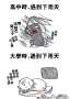 [photo](media:AgADBQAD6q0xGyRFigecXRtN-yhIjB-jvzIABKfVI5hFAAFwjwABHAACAg@telegram)