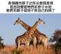 [photo](media:AgADBQAD96kxGy-_EAghyg4bygRxAAFsJr4yAAQ1z_KfITu9grDXAQABAg@telegram)