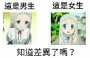 [photo](media:AgADBQAD9acxGwdGoVbBNm3d4BBTK5eD0DIABEBoLRRxhNzqJmUDAAEC@telegram)