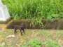 [photo](media:AgADBQADA6gxG68i2VQ-U0k53HaxFb4fyjIABBlIlv0QrnYmsqoDAAEC@telegram)