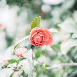 [photo](media:AgADBQADAqkxG0KlcVeUU5cG5tC0lQGA-TIABAEAAwIAA20AA18RAwABFgQ@telegram)