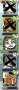 [photo](media:AgADBQADBagxG72s0Fav3LrrYOIWmZJ70DIABHVupT38oWi8BHYDAAEC@telegram)