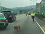[photo](media:AgADBQADC6gxGyXUEVZEUZdr-Ta7daGd1jIABJU4Dkyav3I3tE4AAgI@telegram)