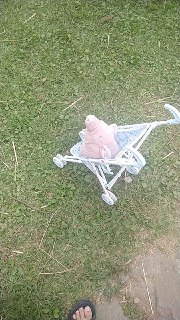 [photo](media:AgADBQADCKkxG4egEFUf36H3bsivdJG5-TIABAEAAwIAA20AAyp2BAABFgQ@telegram)
